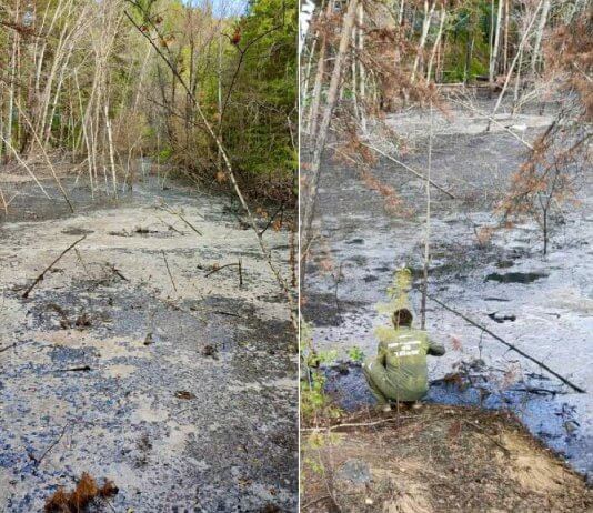 Дело Новосибирского КБК о 240-миллионном ущербе природе начали рассматривать заново