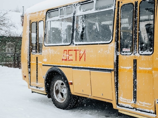 3700 новосибирских детей не добрались до школ из-за аномальных морозов