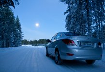 Новосибирскую таксистку, заблудившуюся в бердском лесу, спасло МЧС