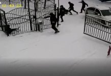 Группа неизвестных на авто похитила человека в Новосибирске (видео)