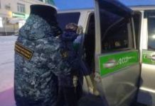 Новосибирец прикинулся скотиной, чтобы избежать приговора суда