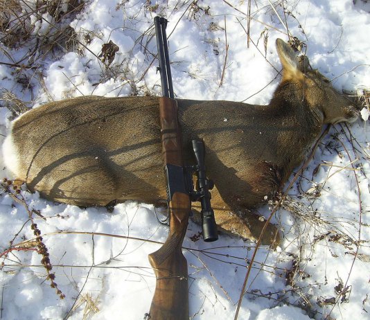 Браконьеры в Новосибирской области добыли двух косуль и потеряли автомобиль