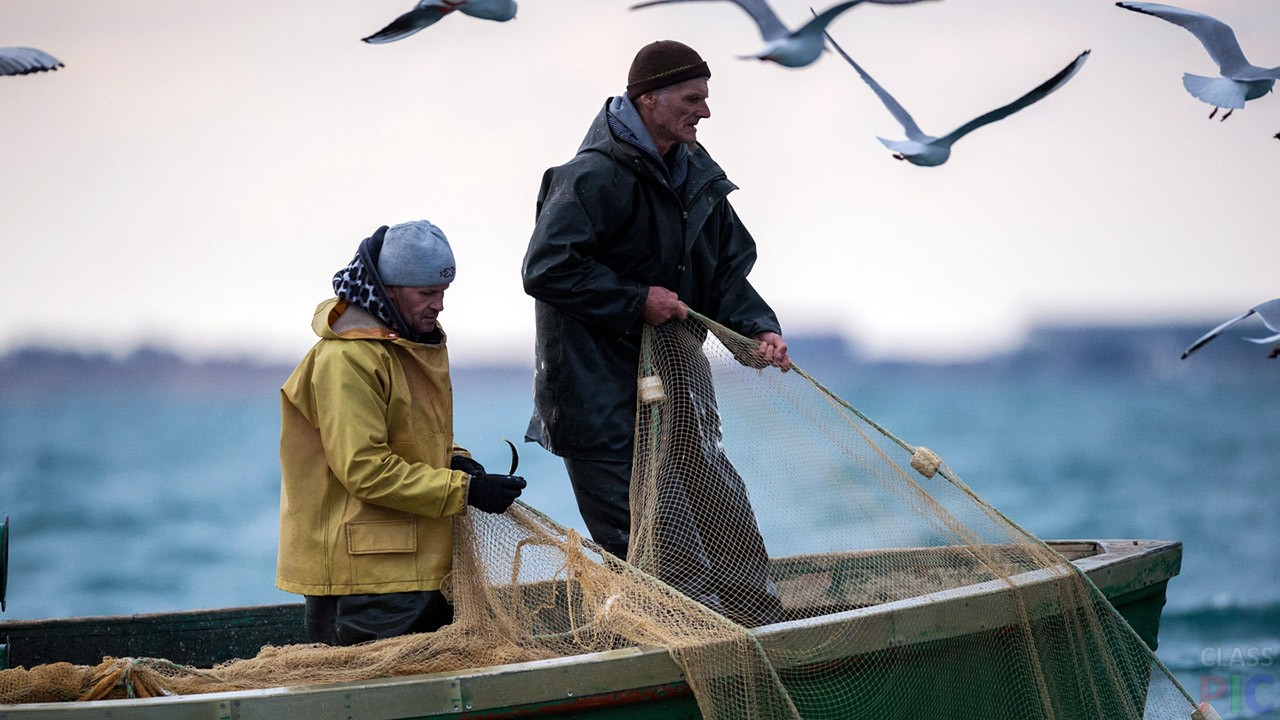 Международный день борьбы с незаконным, несообщаемым и нерегулируемым рыбным промыслом