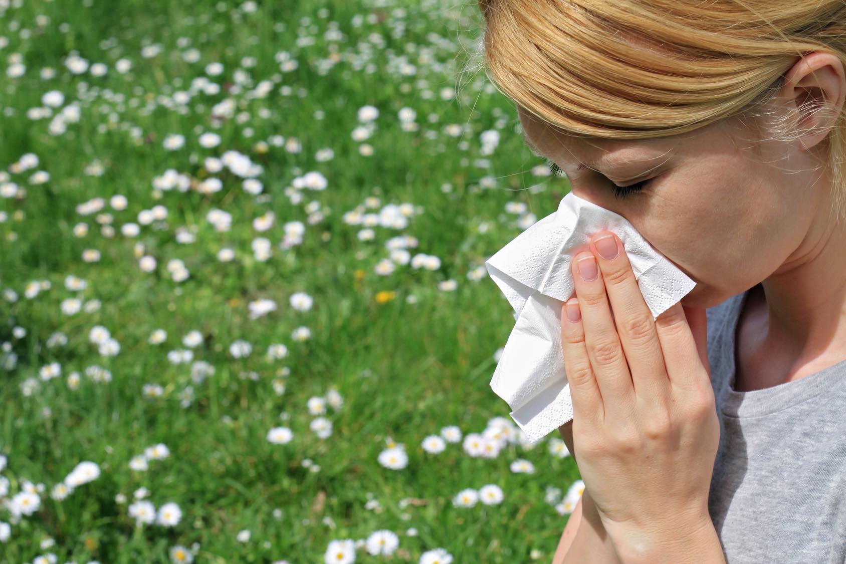 Всемирный день борьбы с аллергией: Как отмечается