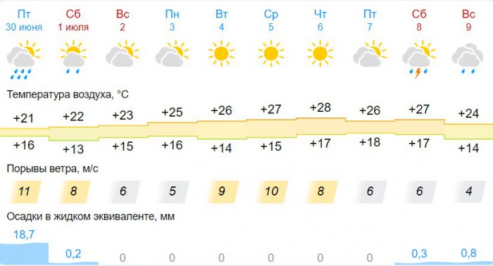 Погода на 16 июля в новосибирске