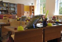 Для девочки, вызвавшей забастовку одноклассников, в новосибирской гимназии создадут новый класс