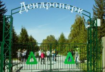Реконструкции дендропарка в Новосибирске не будет – Минприроды