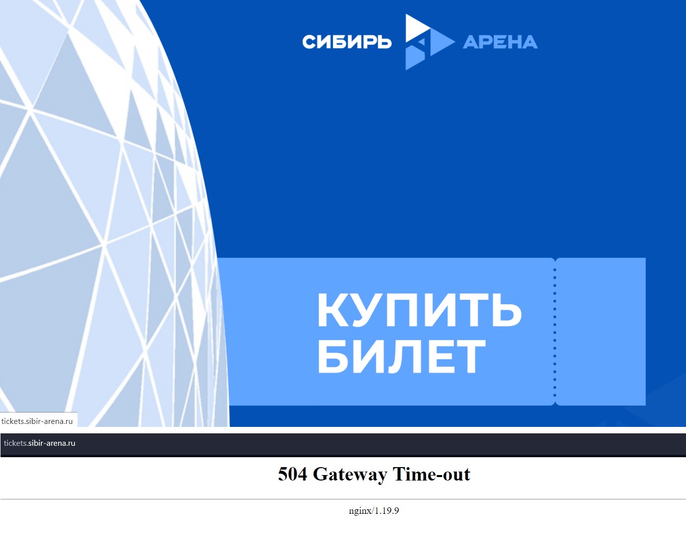 Сайт новосибирской «Сибирь-Арены» упал из-за раздачи бесплатных билетов на  первый матч - Новая Сибирь online