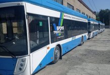 В троллейбусном парке Новосибирска находят новые нарушения после смерти собаки-поводыря