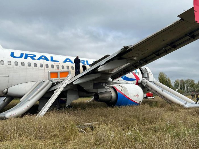 Колхозники Новосибирской области требуют убрать с поля экстренно приземлившийся Airbus A320
