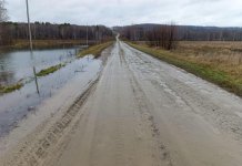 В Новосибирской области бобры оставили жителей двух сёл без электричества