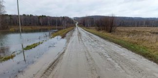 В Новосибирской области бобры оставили жителей двух сёл без электричества