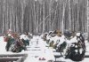 Кладбище «Северное» расширяют в Новосибирске