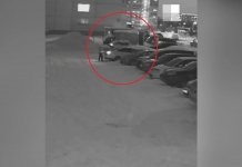 Появились подробности убийства мигрантами таксиста в Новосибирске