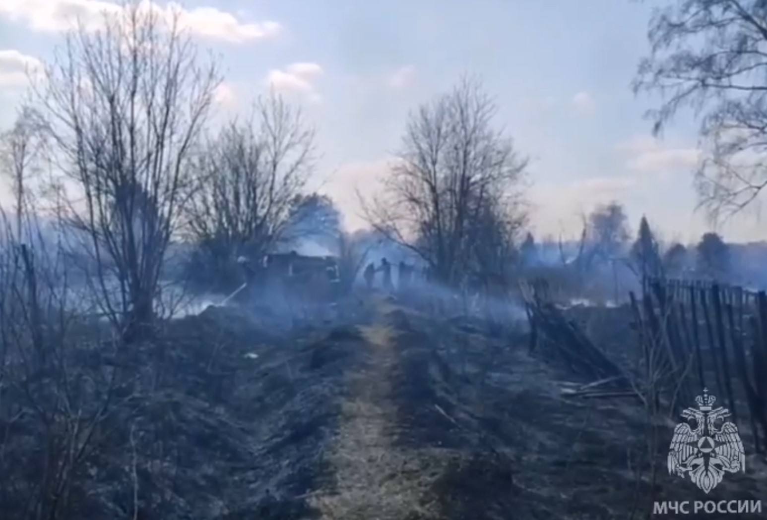 Ландшафтный пожар добрался до садовых обществ в Новосибирске