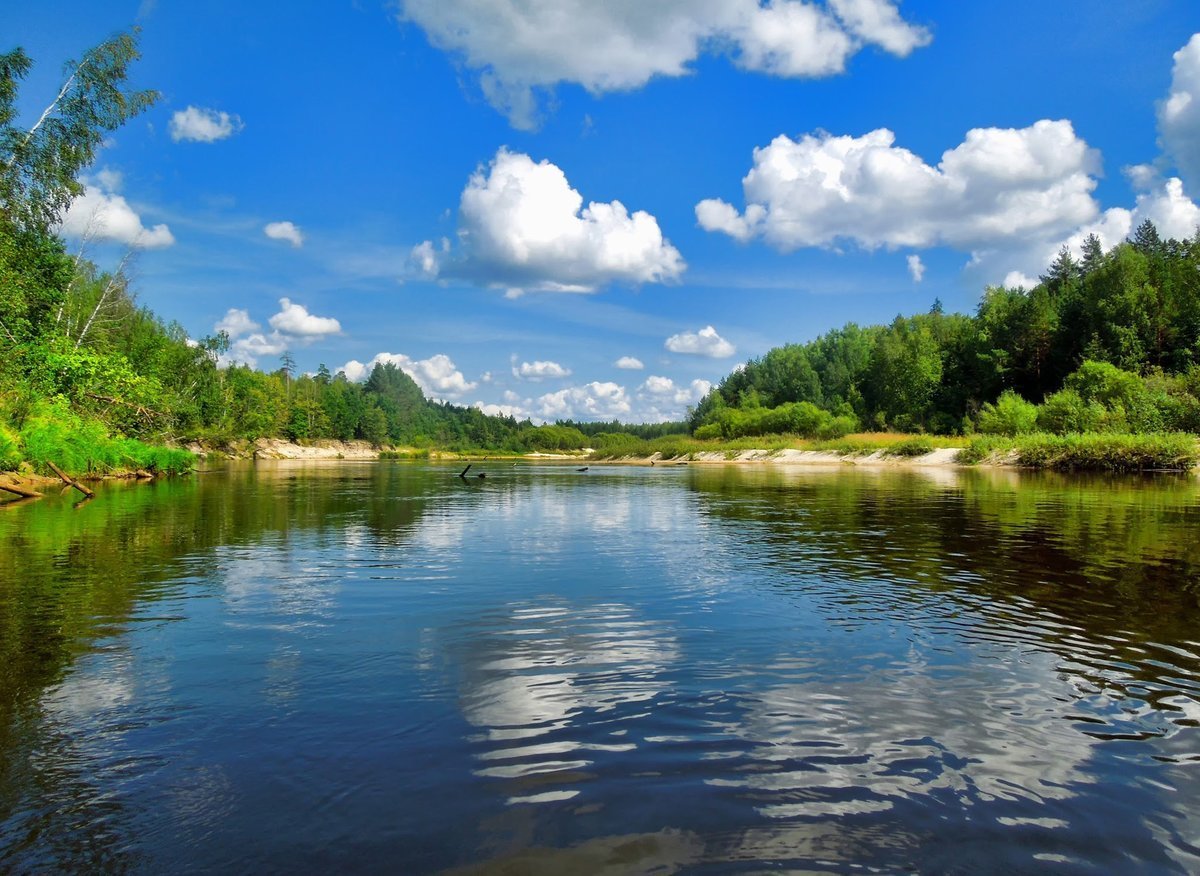 Единые дни защиты малых рек и водоемов в России: Когда начинаются