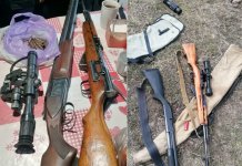 Под Новосибирском силовики изъяли из оборота нелегальный арсенал