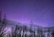Под Новосибирском наблюдалось яркое полярное сияние ночью 3 мая