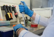 В Новосибирской области разработали гель, помогающий при огнестрельных ранениях