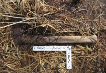 Житель Новосибирской области 17 раз ударил мать топором и раскаялся