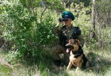 День пограничника в России: Когда появились первые заставы