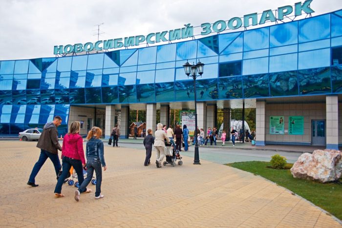 Фото: zoonovosib.ru