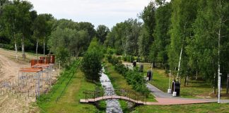 Наказы исполняются: В новосибирском Сузуне благоустраивают второй парк за пять лет