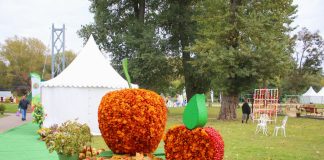 Всероссийская выставка «День садовода»: Чем будут удивлять гостей