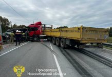 Завершено расследование смертельного столкновения катафалка и фуры в Новосибирской области