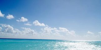 Всемирный день моря: Когда сохранить морскую пучину