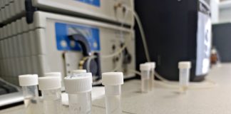 Чистить водоемы с помощью отходов сельского хозяйства предложили молодые новосибирские ученые