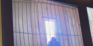 Новосибирца, арестованного за пятилетнее истязание семьи, просили отпустить домой