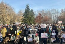 «Надеюсь, удастся отклонить документ»: В Новосибирске прошел митинг против эвтаназии животных