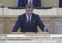 Владельцам дорогой новосибирской недвижимости предлагают поднять налог