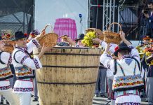 День вина в Молдавии: Когда празднуется