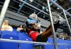 Силовики со всей России встретились на хоккейном льду Новосибирска