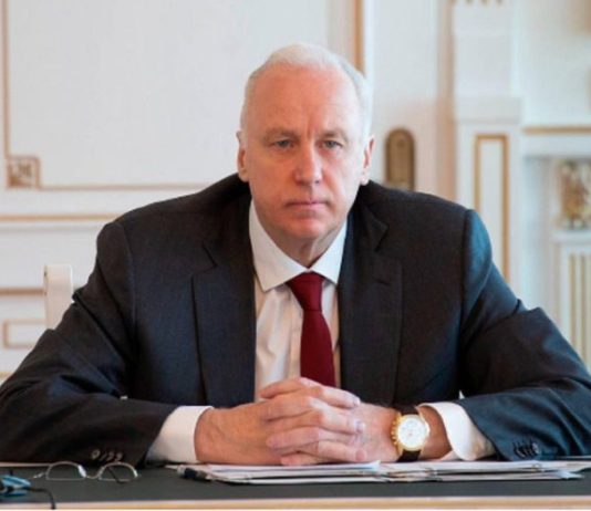 Бастрыкин потребовал доклад о нападении бездомных собак на ребёнка в Новосибирске