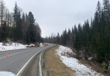 Новосибирец разбился на грузовике при спуске с перевала на Алтае