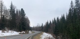 Новосибирец разбился на грузовике при спуске с перевала на Алтае