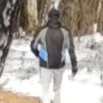 Жители Новосибирского микрорайона обеспокоены действиями «серийного садиста»