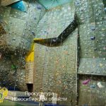 В Новосибирске суд признал виновной владелицу скалодрома, где погиб местный бизнесмен