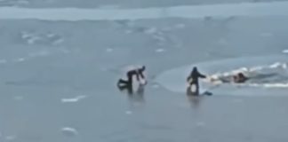 Двое погибли, девять спасены: Новосибирцы начали массово проваливаться под лёд