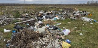 Новосибирец добился ликвидации незаконной свалки на сельхозугодьях Мошковского района