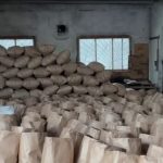 Новосибирских «чёрных лесорубов», пустивших на уголь 500 деревьев, заставят отрабатывать ущерб