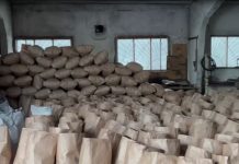 Новосибирских «чёрных лесорубов», пустивших на уголь 500 деревьев, заставят отрабатывать ущерб