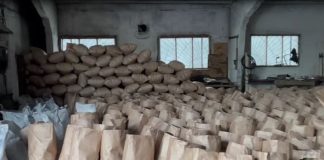 Новосибирских «чёрных лесорубов», пустивших на уголь 500 деревьев, заставят отрабатывать ущерб