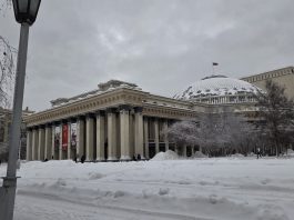 Народный победитель: Кто поддержал Новосибирск на выборах «Культурной столицы-2027»
