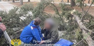 В Новосибирске на прохожих рухнуло дерево около Монумента Славы. Видео