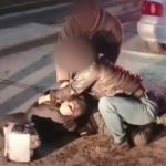 В Новосибирске задержали курьера с деньгами обманутого пенсионера из Карелии