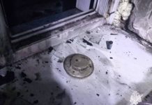 В Новосибирской области пожарный извещатель спас жизнь бабушки и внучки